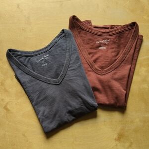 Universal Thread Women's V-Neck Tees in Charcoal Gray and Rust